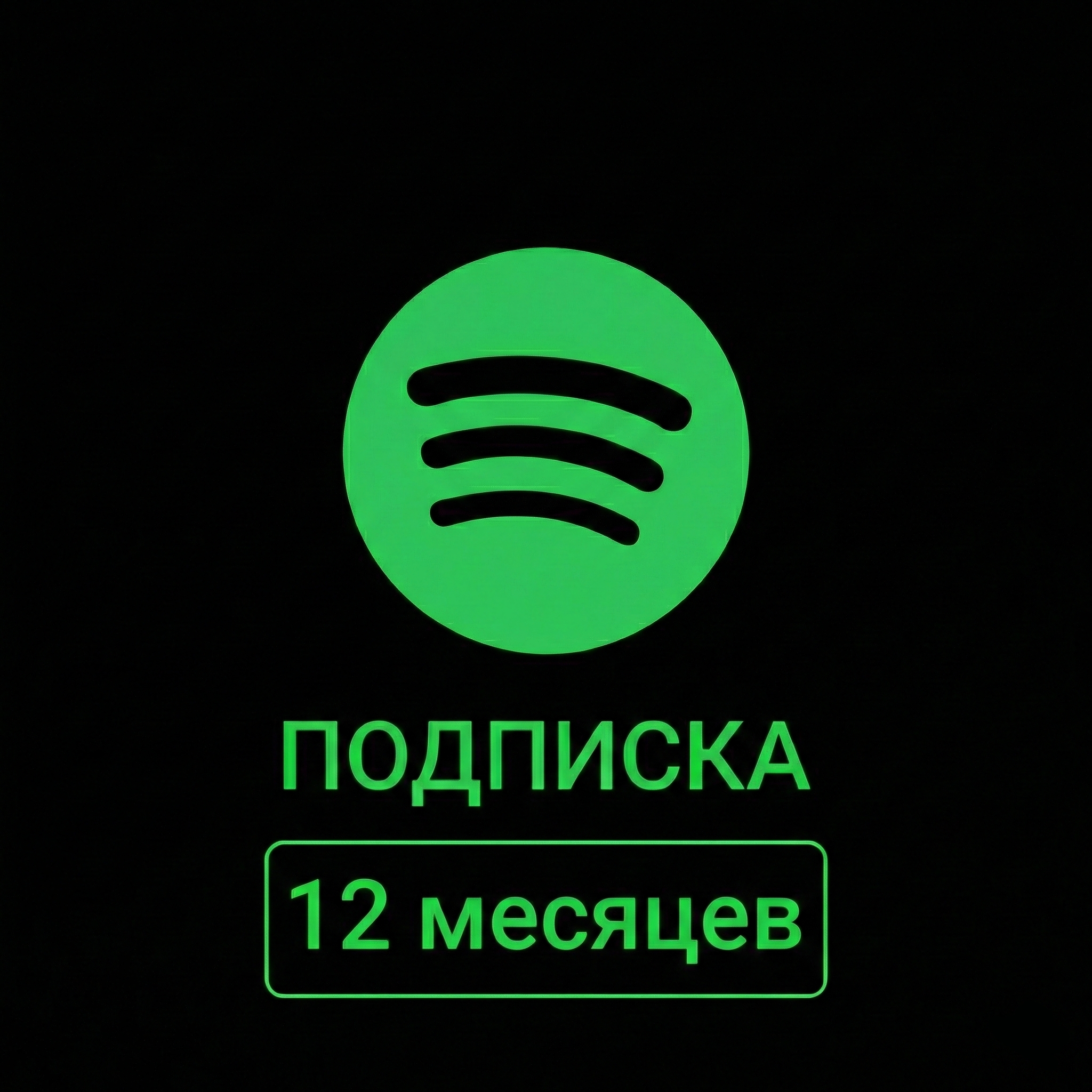 Spotify Premium | 12 месяцев 