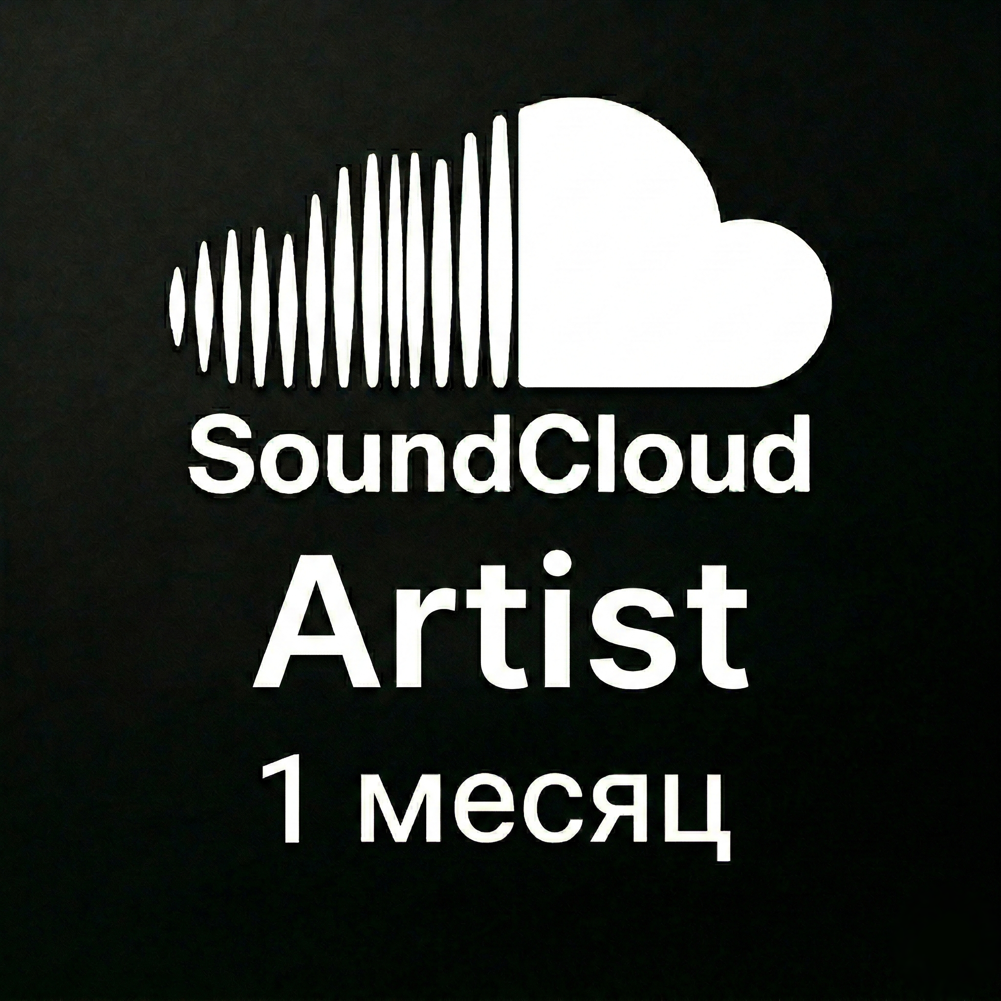 Artist | 1 месяц