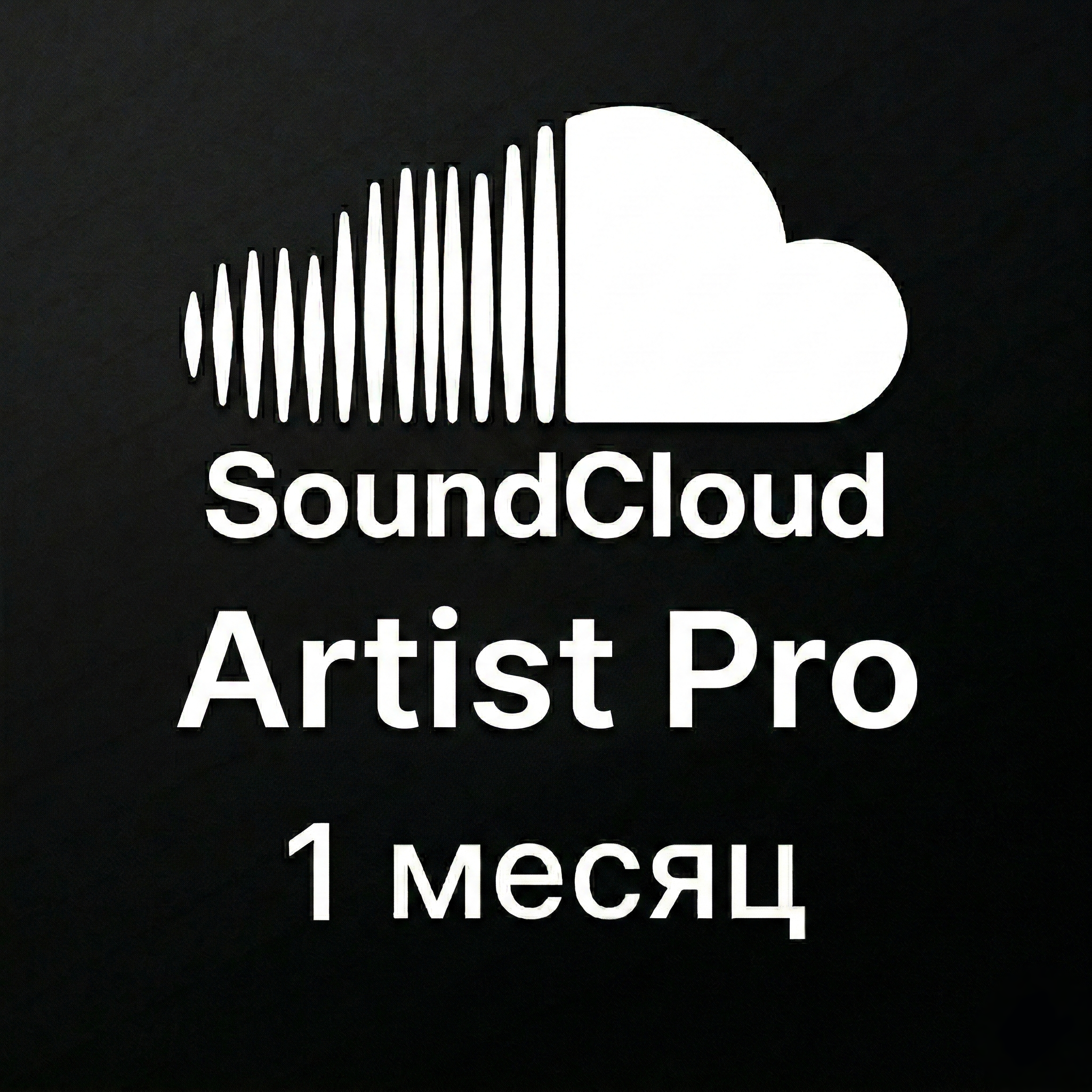 Artist Pro | 1 месяц