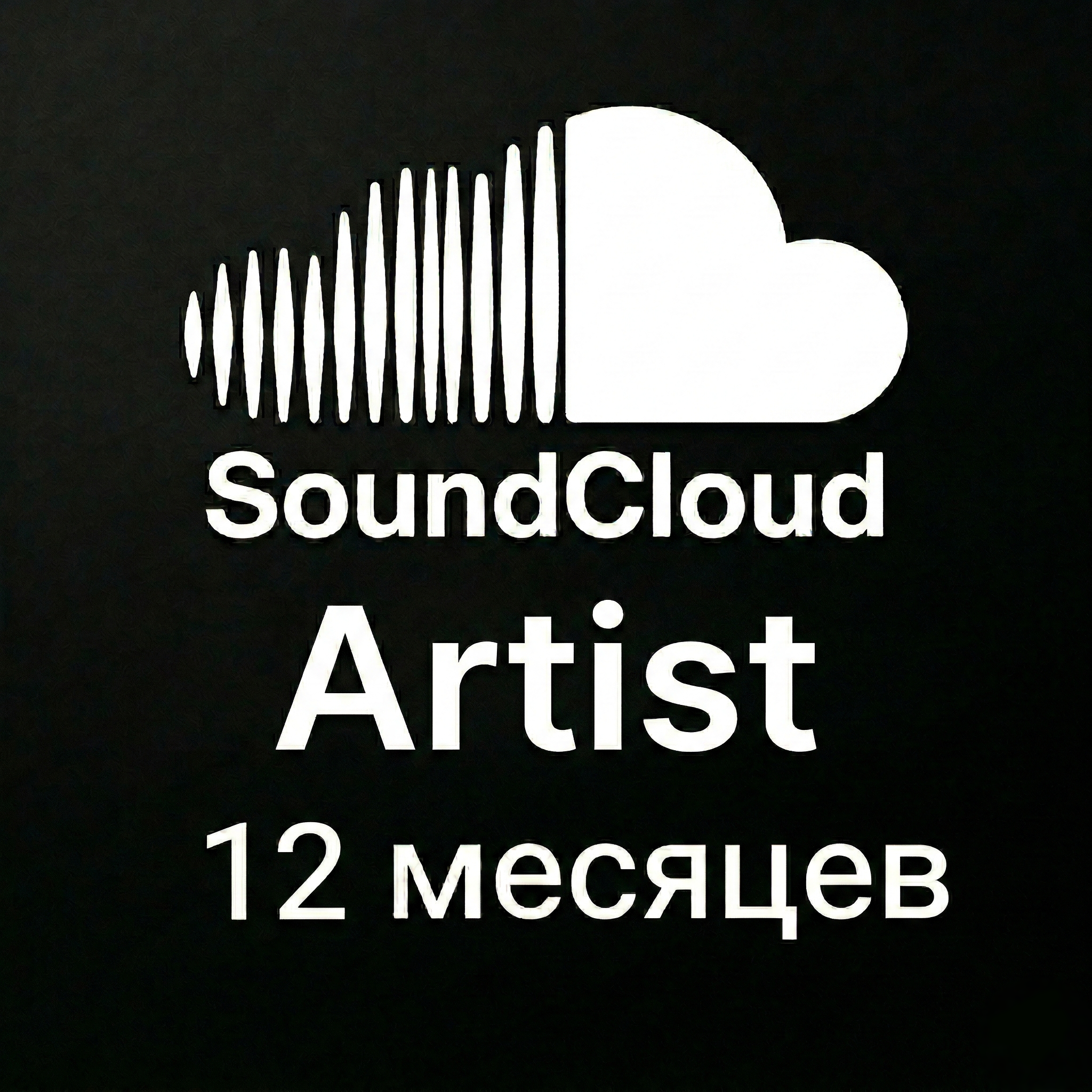 Artist | 12 месяцев 